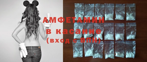 гашик Алексеевка