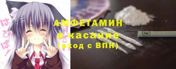 гашик Алексеевка