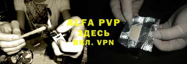 гашик Алексеевка